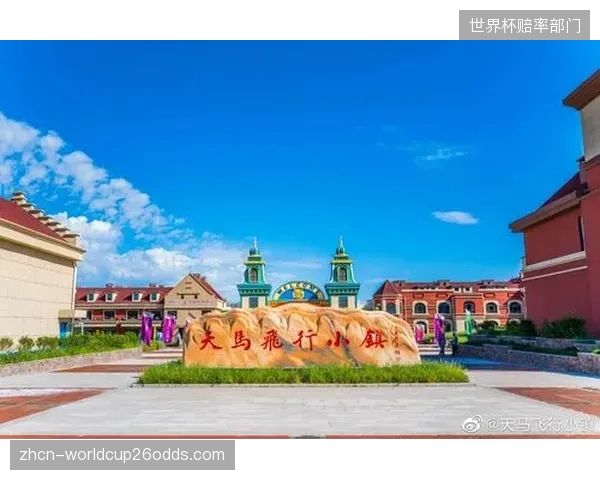 在宣称拥有自有IP的体育小镇中，门票收入占总营收低于20%的超过了八成